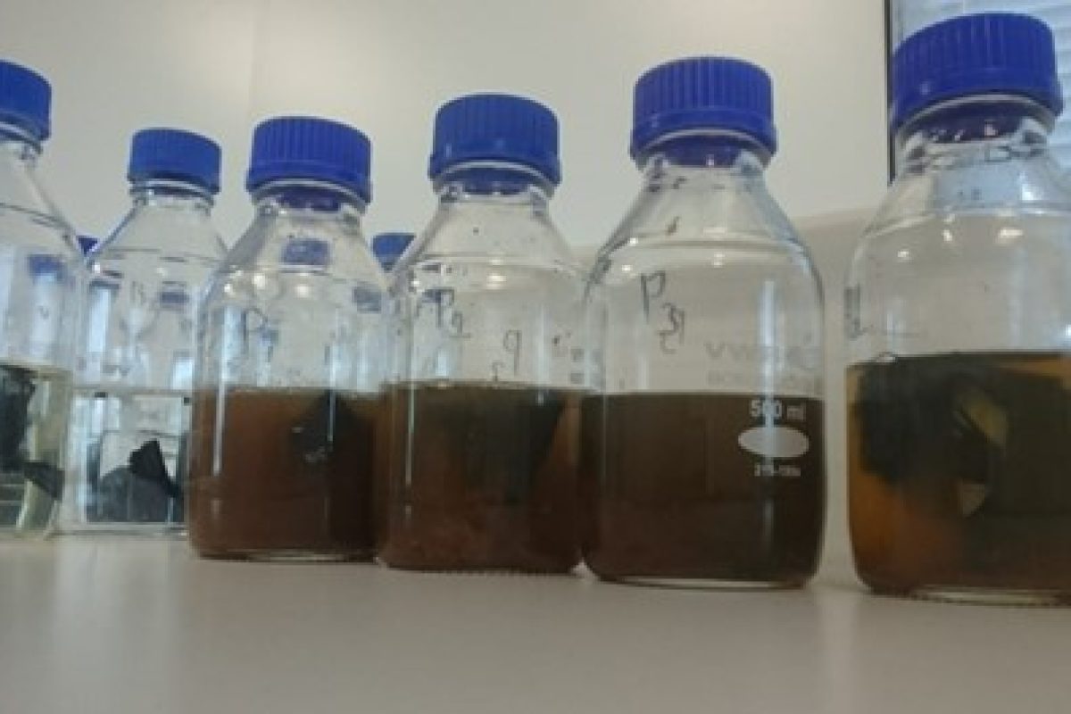 afbeelding van monsters